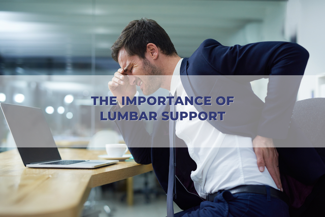 The Importance of Lumbar Support - Nouhaus Inc
