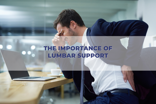 The Importance of Lumbar Support – Nouhaus Inc