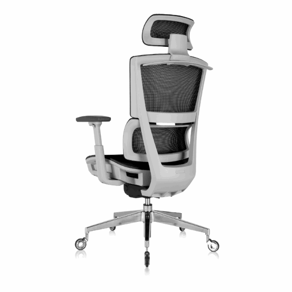 Back view of the ' Rewind ' Ergonomic Office Chair - Black