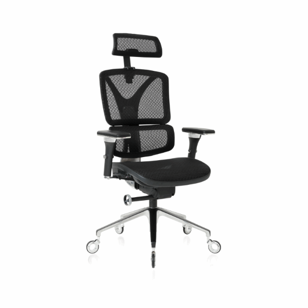 Front angled view of the Silver ErgoPro Ergonomic Office Chair