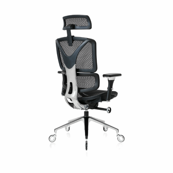 Back angled view of the Black ErgoPro Ergonomic Office Chair