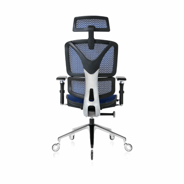 Back of the Blue ErgoPro Ergonomic Office Chair