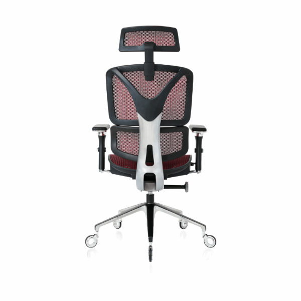 Back view of the Burgundy ErgoPro Ergonomic Office Chair