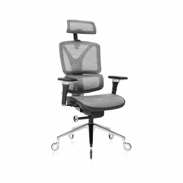 Silver ErgoPro Ergonomic Office Chair