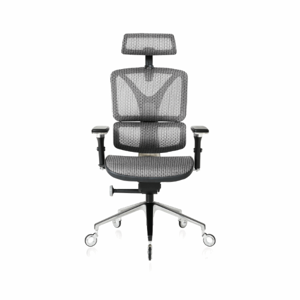 Front of the Silver ErgoPro Ergonomic Office Chair