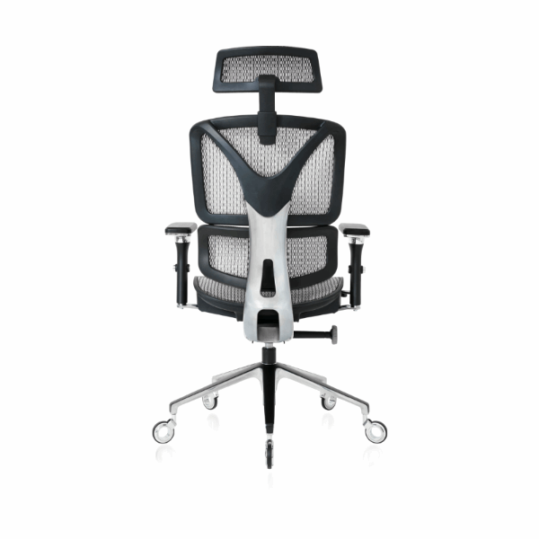 Bsck of the Silver ErgoPro Ergonomic Office Chair
