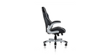 Side of the Velour Office Chair Velvet Computer Chair