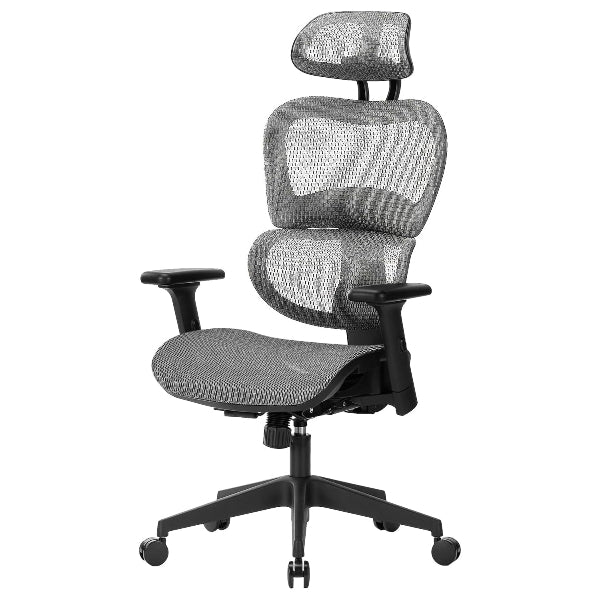 NOUHAUS Ergo3DL Ergonomic Office Chair