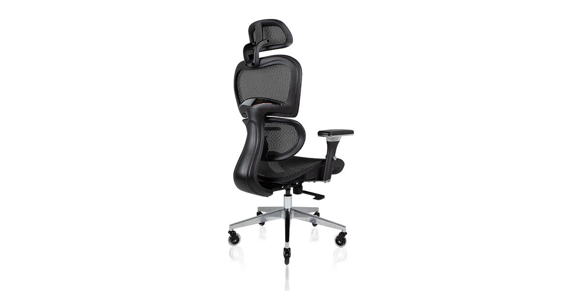NOUHAUS Ergo3D Ergonomic Office Chair