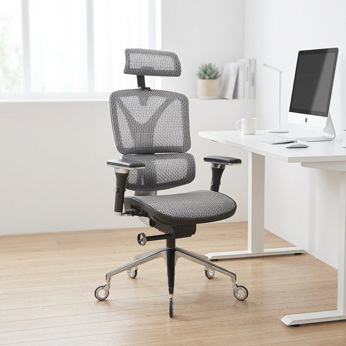 NHO-0005SR,Ergonomic office chair in a modern office setting with a desk and computer.