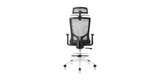 Back view of the ErgoDraft Tall Office Chair