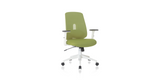 Green Palette Ergonomic Lumbar Adjust Rolling Office Chair