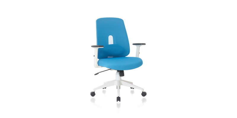 Blue Palette Ergonomic Lumbar Adjust Rolling Office Chair