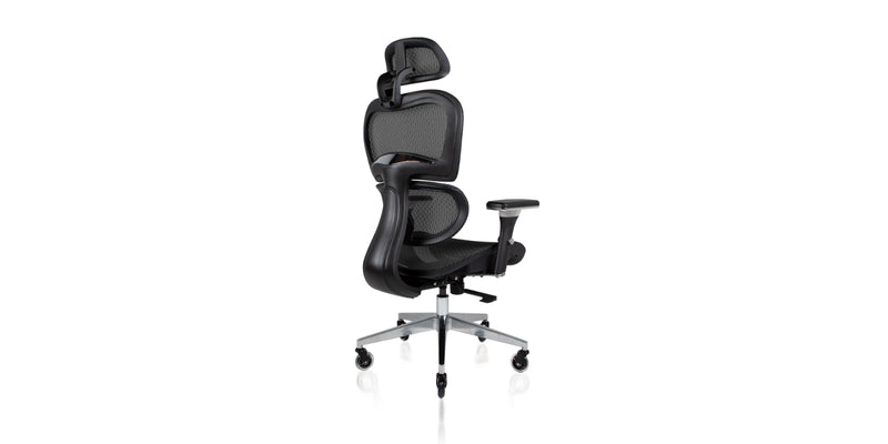 Back angle of the Ergo3D Ergonomic Office Chair - Black