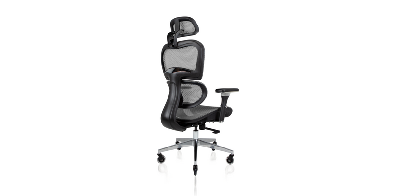 NOUHAUS Ergo3D Ergonomic Office Chair Black Coffee