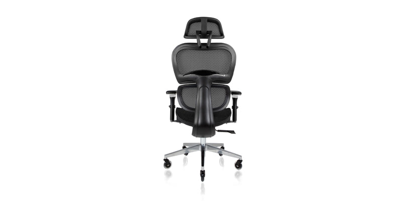 Back view of the Ergo3D Ergonomic Office Chair - Black