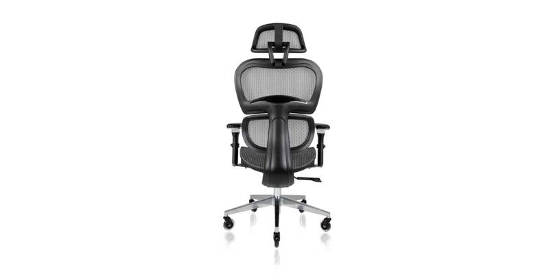 Back view of the Ergo3D Ergonomic Office Chair - Grey