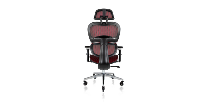 Backside view of the Ergo3D Ergonomic Office Chair - Burgundy