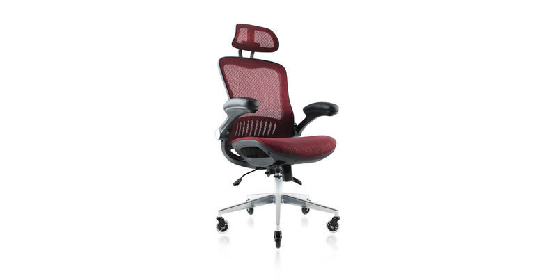 NOUHAUS ErgoPro Ergonomic Office Chair. Mesh, Swivel, Rolling Desk Chair 