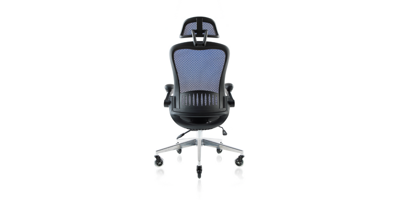 Back of the ErgoFlip Mesh Computer Chair - Blue