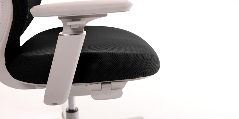 NOUHAUS Nest Ergonomic Active Office Chair