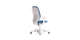 NOUHAUS Nest Ergonomic Active Office Chair