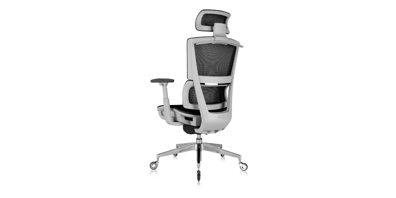 Back view of the ' Rewind ' Ergonomic Office Chair - Black