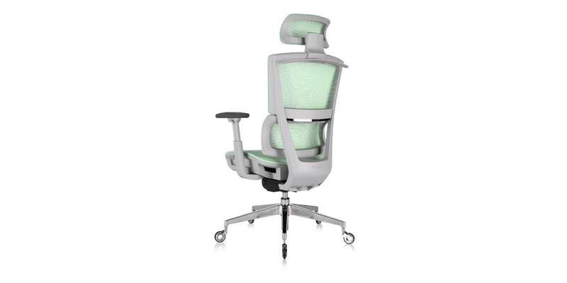 Back side of the ' Rewind ' Ergonomic Office Chair - Mint