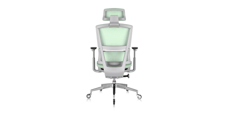 Back of ' Rewind ' Ergonomic Office Chair - Mint