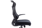 NOUHAUS Wave Ergonomic Office Chair