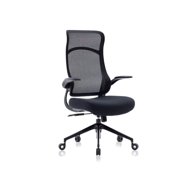 Latashia Ergonomic Office Chair Mesh Big and Tall Computer Desk Chair  -Adjustable Lumbar Support Backrest Headrest