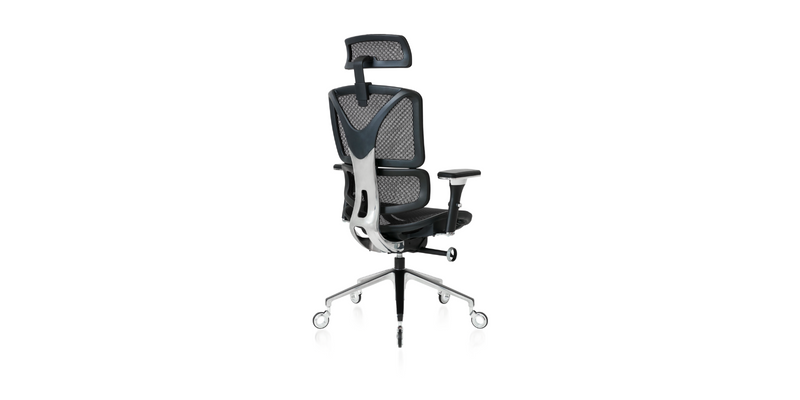 Oline ErgoPro Ergonomic Office Chair w/ Reclining Backrest & Blade Wheels, Black