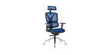 Blue ErgoPro Ergonomic Office Chair