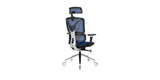 Back angled view of the Blue ErgoPro Ergonomic Office Chair