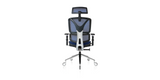 Back of the Blue ErgoPro Ergonomic Office Chair