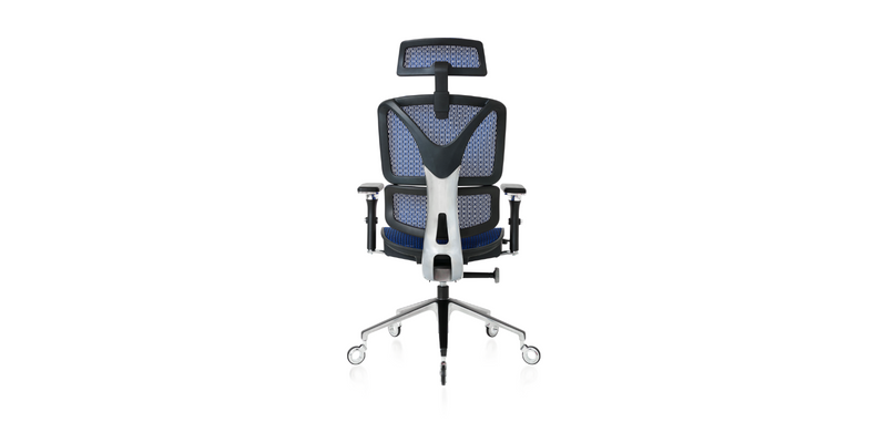 Back of the Blue ErgoPro Ergonomic Office Chair