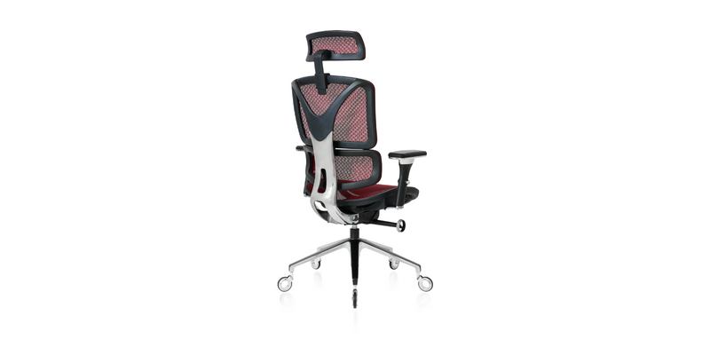 Back angled view of the Burgundy ErgoPro Ergonomic Office Chair
