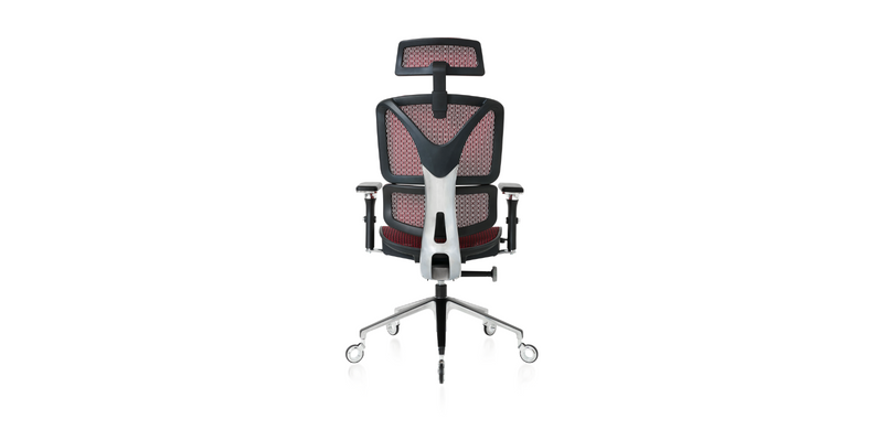 Back view of the Burgundy ErgoPro Ergonomic Office Chair