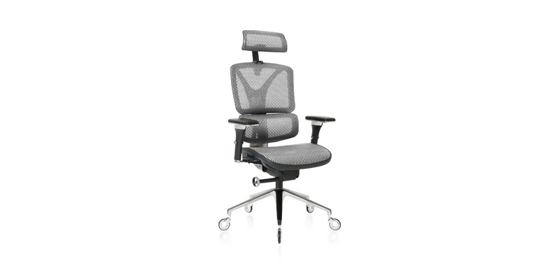 Silver ErgoPro Ergonomic Office Chair