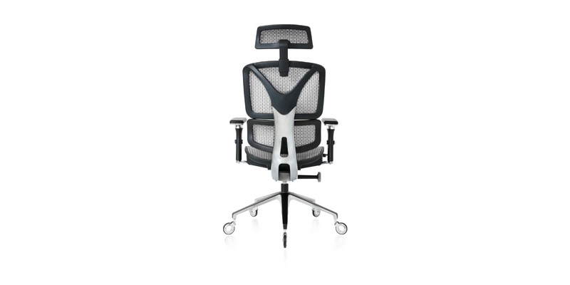 Bsck of the Silver ErgoPro Ergonomic Office Chair