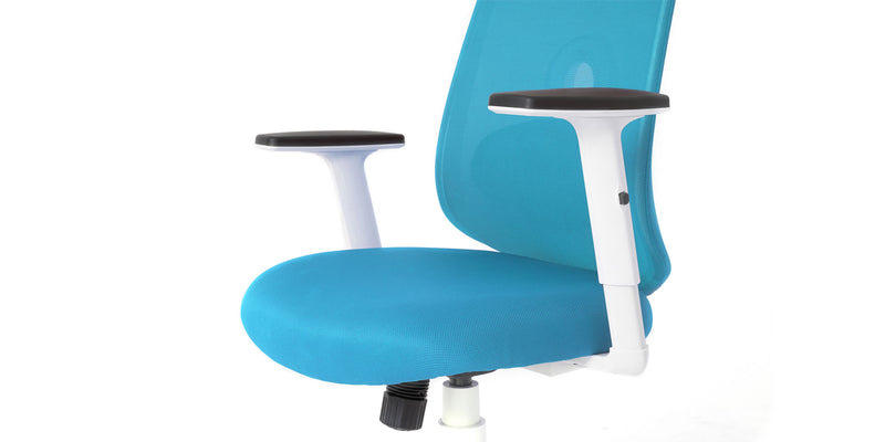 front angled view of the Blue Palette Ergonomic Lumbar Adjust Rolling Office Chair